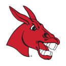 Jennies Softball Camps